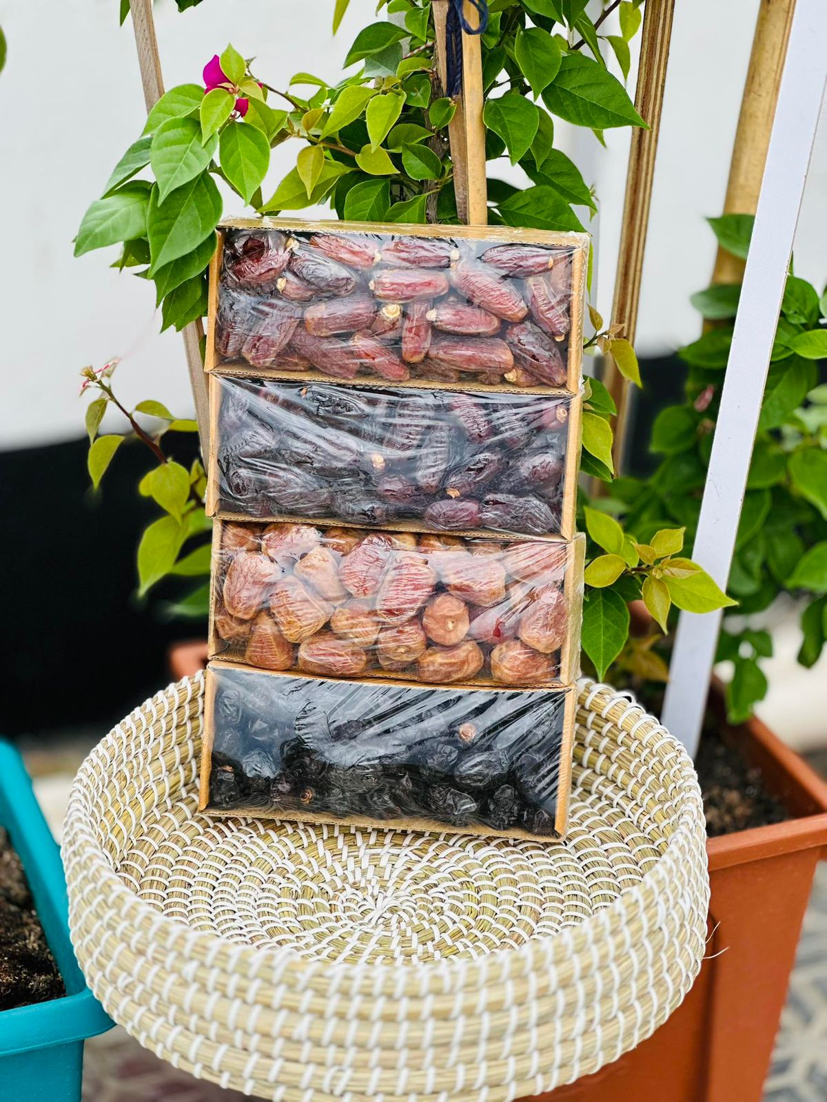 WhatsApp Image 2025-08-04 at 20.18.33_dd4f1806