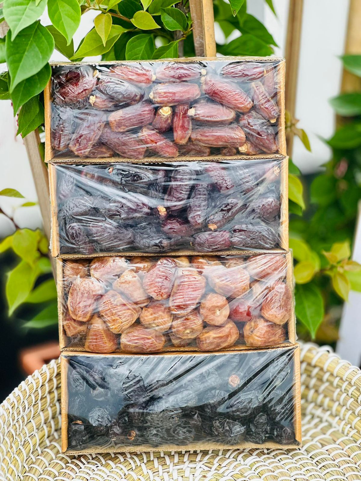 WhatsApp Image 2025-08-04 at 20.18.34_bb977ca8