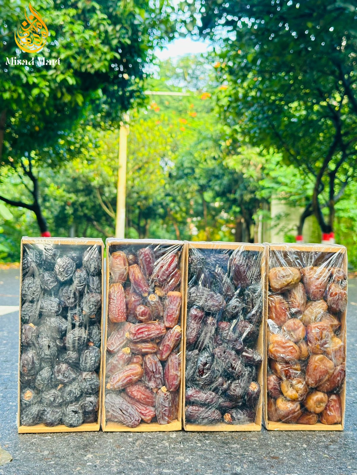 WhatsApp Image 2025-08-15 at 15.10.30_d6f3d6dd