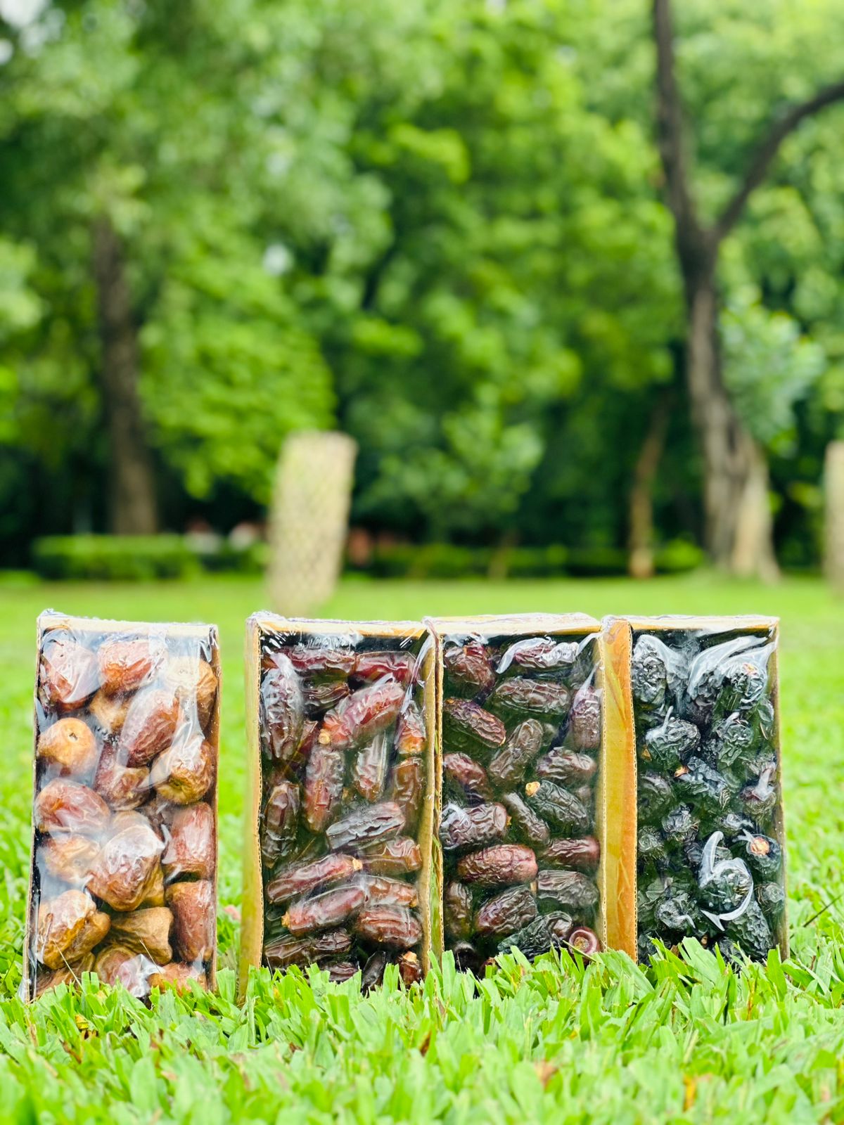 WhatsApp Image 2025-08-23 at 04.23.25_5b5d16c9