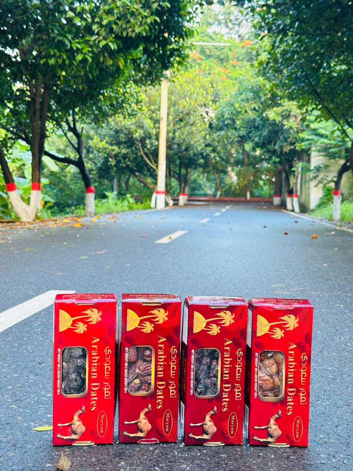 WhatsApp Image 2025-08-23 at 04.23.27_7c70e341