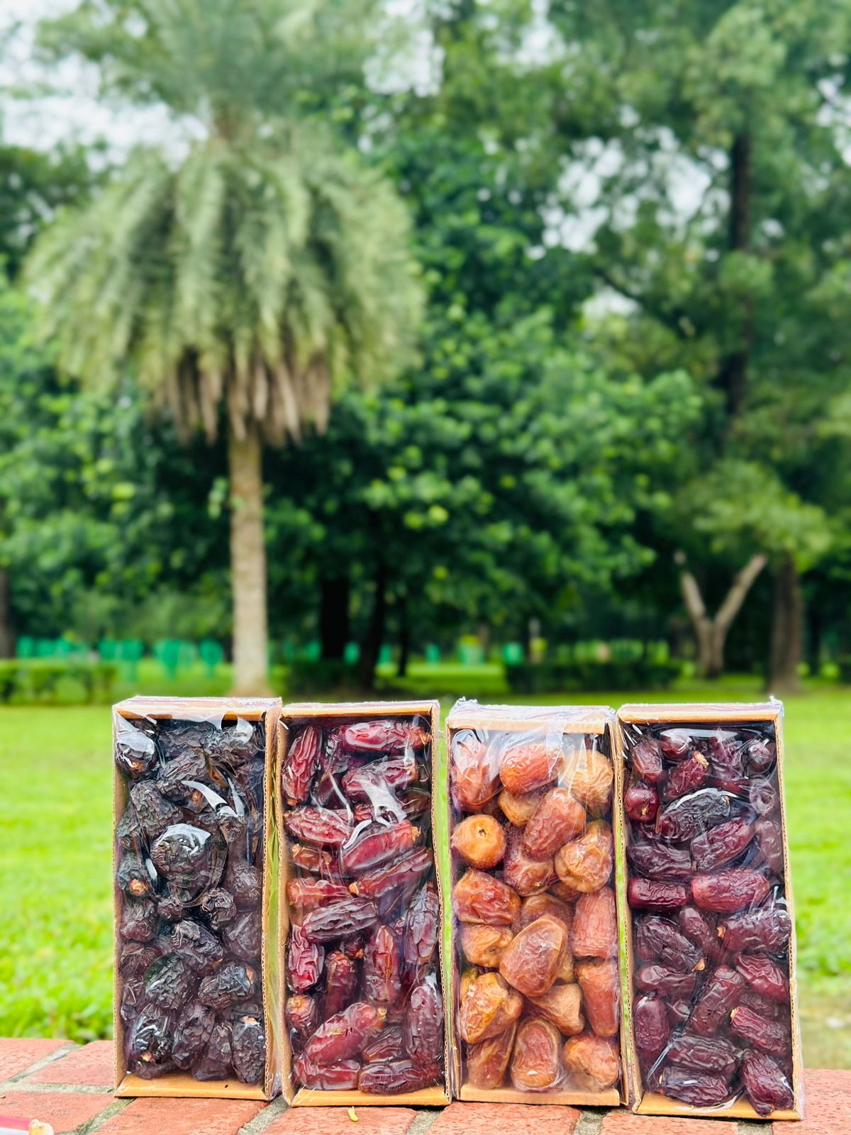 WhatsApp Image 2025-08-23 at 04.23.27_e038aa10